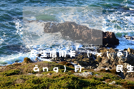 民生信用卡協(xié)商還款首付當(dāng)月還嗎-民生信用卡協(xié)商還款首付當(dāng)月還嗎可以嗎