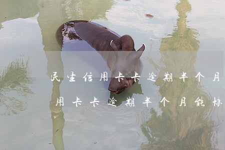 民生信用卡卡逾期半个月能协商吗-民生信用卡卡逾期半个月能协商吗