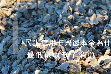 民生信用卡只還本金(為什么民生信用卡還了最低還收到了消息)
