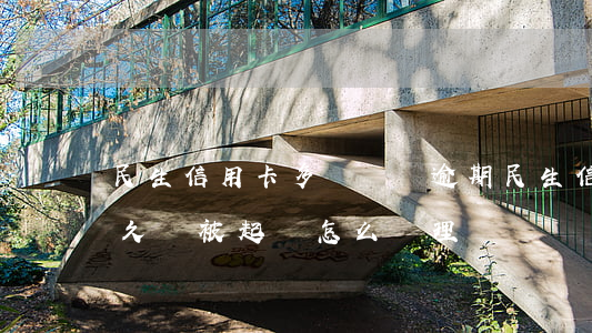 民生信用卡多長時間逾期(民生信用卡逾期多久會被起訴怎么處理)