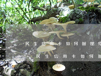 民生信用卡如何辦理停息掛賬浦發(fā)-民生信用卡如何辦理停息掛賬浦發(fā)銀行卡