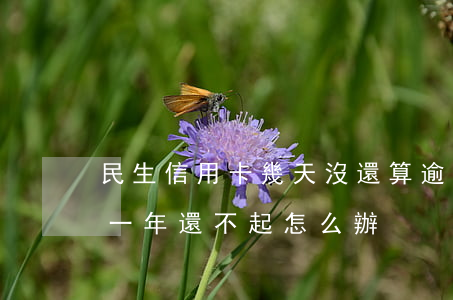 民生信用卡幾天沒還算逾期(民生信用卡逾期一年還不起怎么辦)
