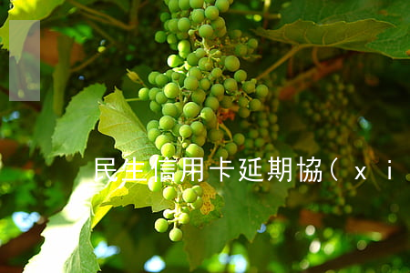 民生信用卡延期協(xié)商