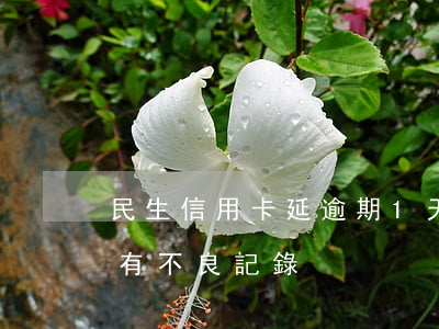 民生信用卡延逾期1天-民生卡逾期三天會有不良記錄