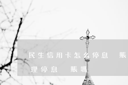 民生信用卡怎么停息掛賬(民生信用卡可以辦理停息掛賬嗎)