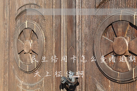 民生信用卡怎么查看逾期(民生信用卡逾期幾天上征信啊)