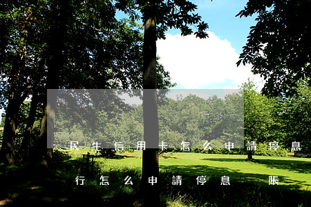 民生信用卡怎么申請停息掛賬郵政-民生銀行怎么申請停息掛賬