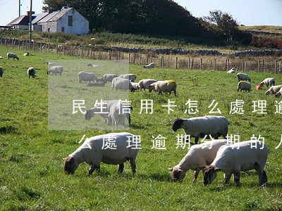 民生信用卡怎么處理逾期分期 民生信用卡怎么處理逾期分期的人