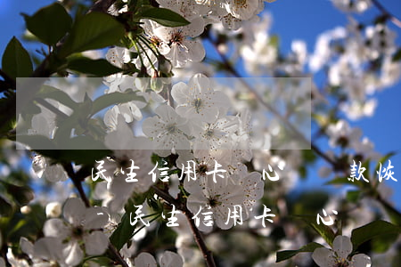 民生信用卡愛心貸還款恢復(fù)額度嗎-民生信用卡愛心貸還款恢復(fù)額度嗎是真的嗎