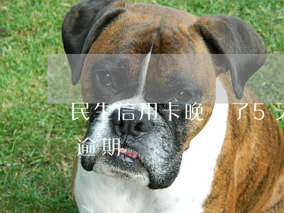 民生信用卡晚還了5天逾期記錄(民生信用卡 逾期)
