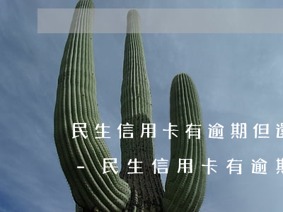 民生信用卡有逾期但還可以協(xié)商-民生信用卡有逾期但還可以協(xié)商分期嗎
