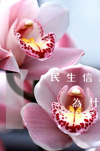 民生信用卡有逾期但還可以協(xié)商-為什么信用卡逾期協(xié)商不了