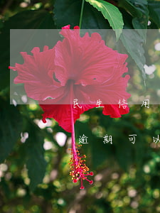 民生信用卡有逾期可以貸款嗎(民生信用卡有逾期可以貸款嗎)