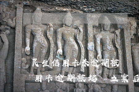 民生信用卡未逾期被凍結(jié)(民生信用卡逾期被起訴立案后怎么解決)