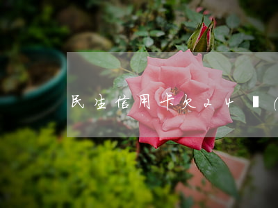 民生信用卡欠24萬(wàn)