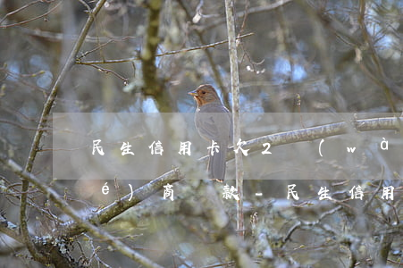 民生信用卡欠2萬(wàn)怎樣協(xié)商還款-民生信用卡欠2萬(wàn)怎樣協(xié)商還款呢