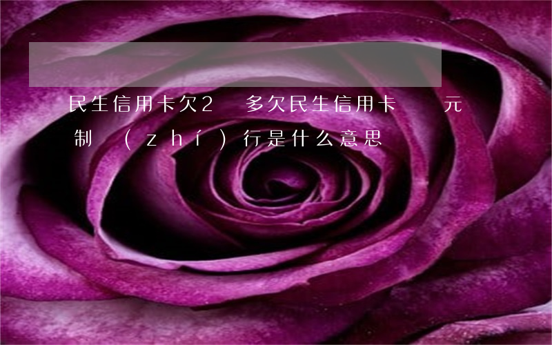 民生信用卡欠2萬多(欠民生信用卡兩萬元強制執(zhí)行是什么意思)