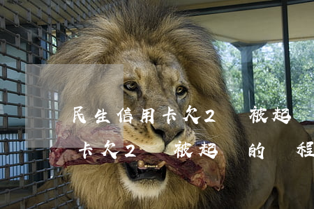 民生信用卡欠2萬被起訴的過程-民生信用卡欠2萬被起訴的過程是什么