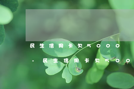 民生信用卡欠5000執(zhí)法上門-民生信用卡欠5000執(zhí)法上門會怎么樣