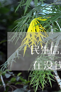 民生信用卡欠9万块(欠民生信用卡5万元,现在没钱还怎么办)