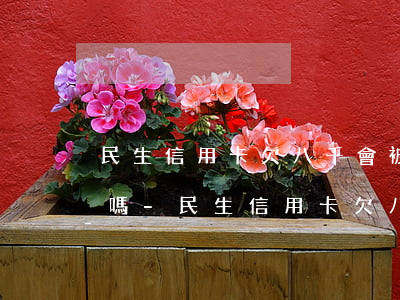 民生信用卡欠八千會被起訴執(zhí)行嗎-民生信用卡欠八千會被起訴執(zhí)行嗎知乎