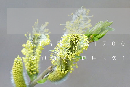 民生信用卡欠款17000發(fā)了立案通知（民生信用卡欠1900）