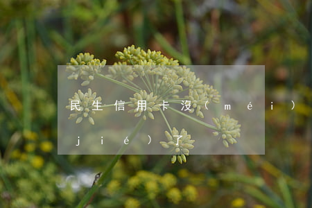 民生信用卡沒(méi)有逾期突然凍結(jié)了