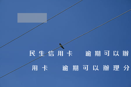 民生信用卡沒逾期可以辦理分期嗎-民生信用卡沒逾期可以辦理分期嗎安全嗎