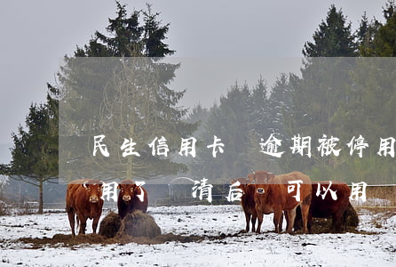 民生信用卡沒逾期被停用(民生信用卡逾期停用了還清后還可以用嗎)