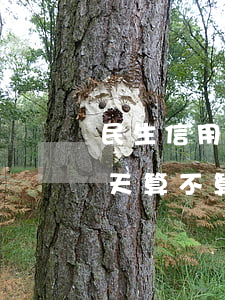民生信用卡用多久算逾期(民生信用卡遲還一天算不算逾期)