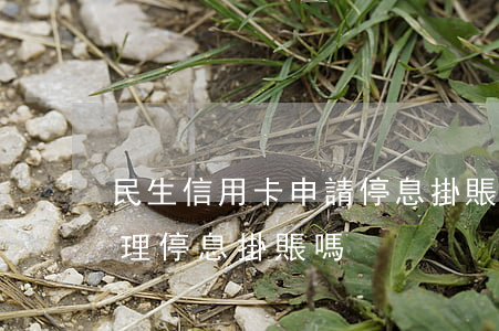民生信用卡申請停息掛賬(民生信用卡可以辦理停息掛賬嗎)