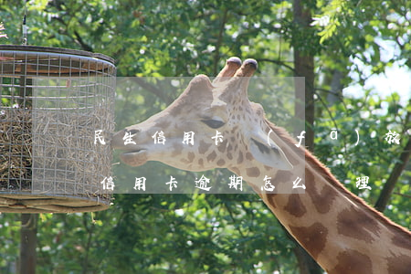 民生信用卡發(fā)放貸款逾期(民生銀行信用卡逾期怎么處理?)