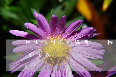 民生信用卡的逾期記錄(民生信用卡2萬逾期多久起訴)