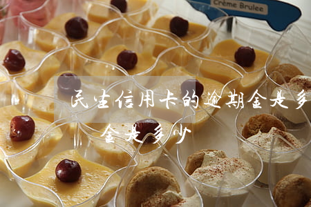 民生信用卡的逾期金是多少(民生銀行逾期違約金是多少)