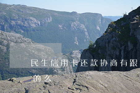 民生信用卡 还款协商(有跟民生协商还款成功的么)