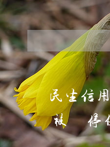 民生信用卡透支被暫停使用(民生信用卡透支被暫停使用)