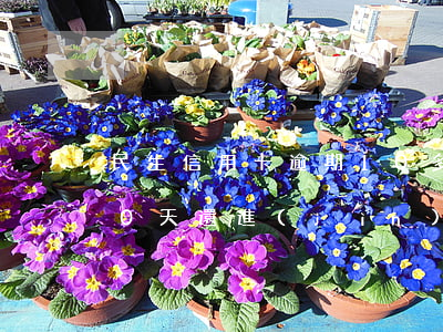 民生信用卡逾期10多天(民生信用卡逾期10天還進(jìn)去還可以再用嗎)