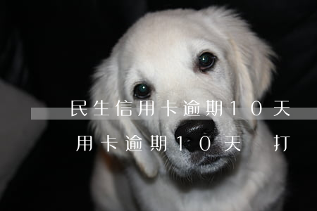 民生信用卡逾期10天會打電話嗎-民生信用卡逾期10天會打電話嗎是真的嗎