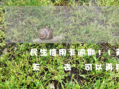民生信用卡逾期11天(民生信用卡逾期10天還進去還可以再用嗎)