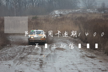 民生信用卡逾期14000(民生信用卡逾期一天會上征信記錄嗎)