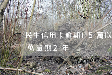 民生信用卡逾期15萬以上(民生信用卡10萬逾期2年)