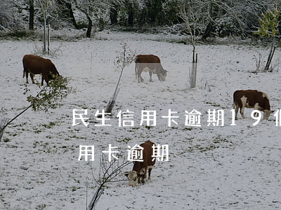 民生信用卡逾期19個(gè)月 19年信用卡逾期