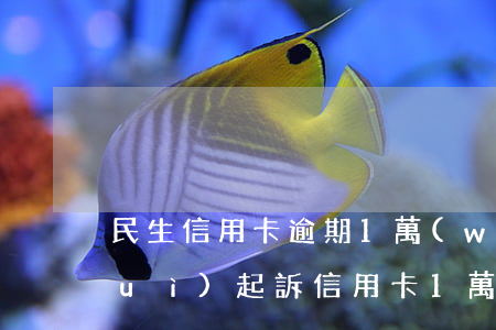 民生信用卡逾期1萬(wàn)多久會(huì)起訴 信用卡1萬(wàn)五逾期一年被起訴怎么辦