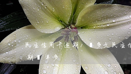 民生信用卡逾期1萬多久(民生信用卡一萬逾期兩年多)