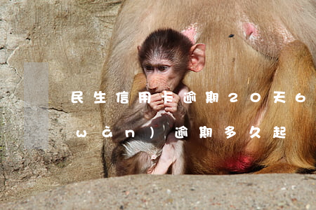 民生信用卡逾期20天6(民生信用卡2萬(wàn)逾期多久起訴)
