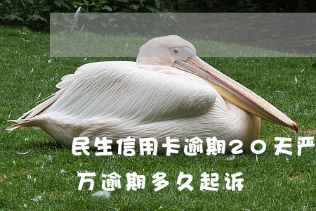 民生信用卡逾期20天严重吗(民生信用卡2万逾期多久起诉)