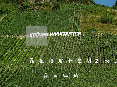 民生信用卡逾期2天上征信嗎(民生逾期4天會后上征信)