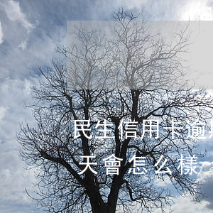 民生信用卡逾期2期賬單(民生信用卡逾期兩天會怎么樣)