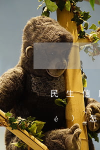 民生信用卡逾期3個(gè)月凍結(jié)怎么辦