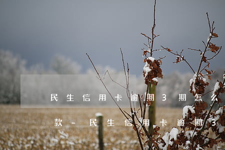 民生信用卡逾期3期怎么協(xié)商還款-民生信用卡逾期3期怎么協(xié)商還款的